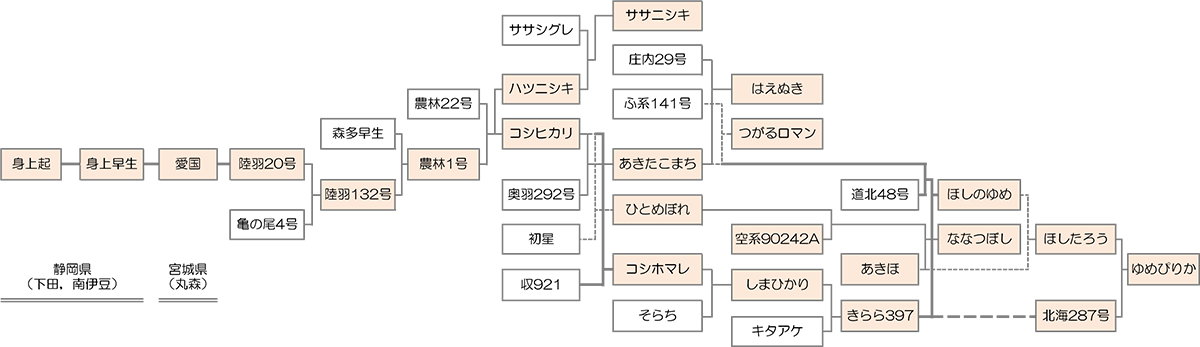 身上起系統図